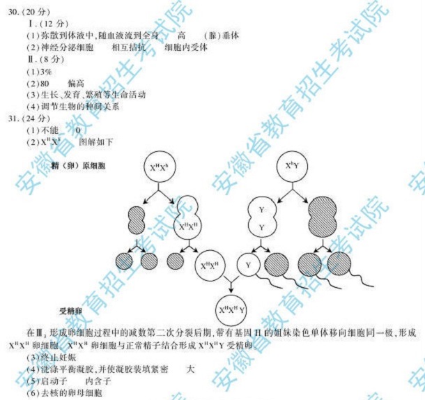 2013��߿����Cԇ�}�𰸣����վ�����4��