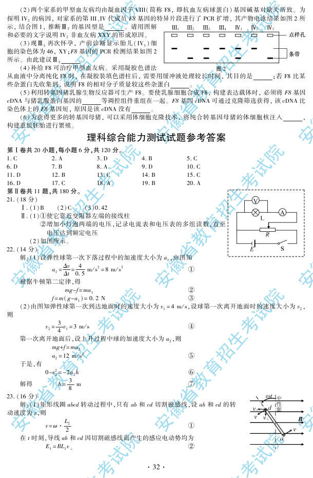 2013��߿����Cԇ�}�𰸣����վ���