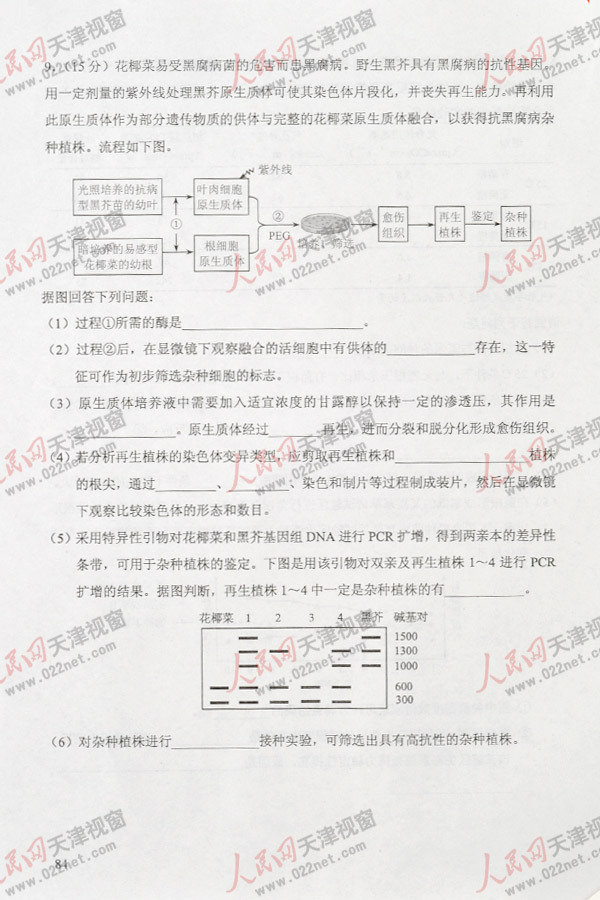 2013�߿�������ƾC��ԇ�}���𰸣������棩��25��