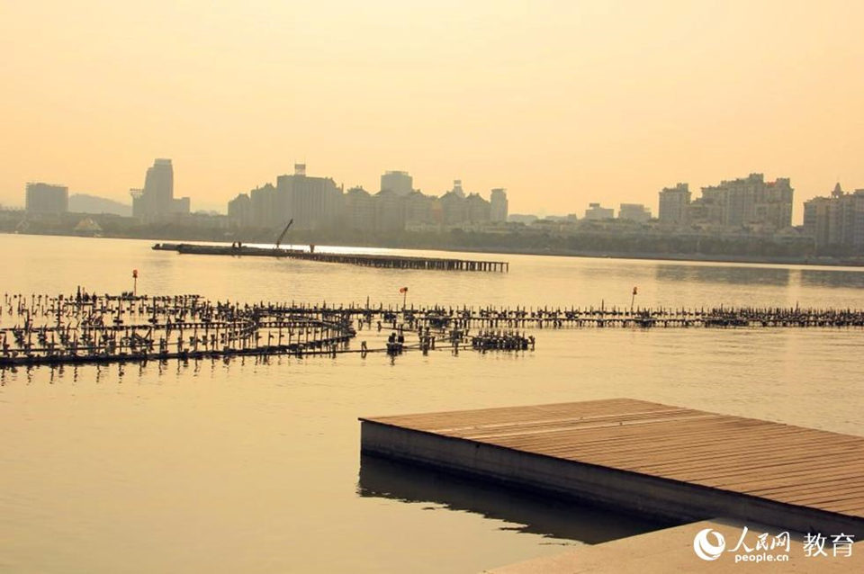 �����Ĵa�^��Ϳ����һ�ӽ�ɫ�����@Щˮ�ﶼ�����B(y��ng)�~���B(y��ng)�����B(y��ng)ݩ�j���B(y��ng)һ�п���ˮ�����L�Ė|������ˮ��ˮ�����@�����w�F(xi��n)�ĺܺõ���