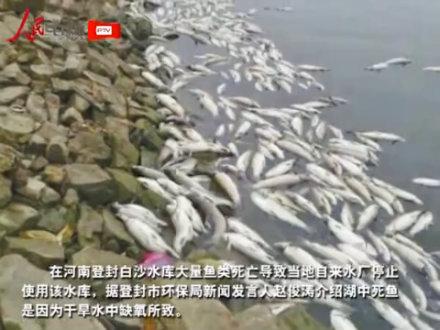 ȫ����������ɺ�