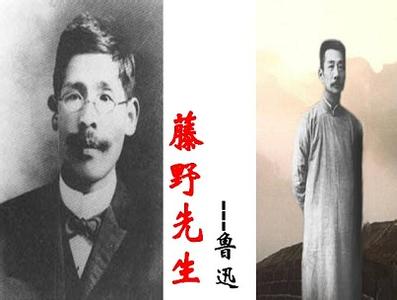 ��Ѹ����Ұ������