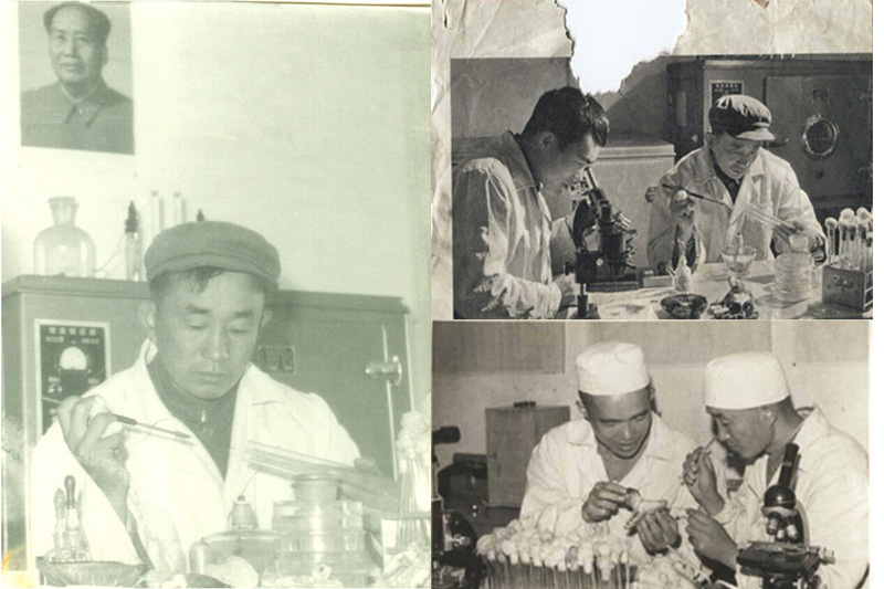 1961�������������_��W���I(y��)�ص���(n��i)�ɹ������r�ă�(n��i)�ɹ����x�W�̌W�о��׺�߀�ǿհ������������ؓ���˄���W�����x�W�Ľ̌W�����΄�(w��)���������������a�ֹ��յČ�������������     