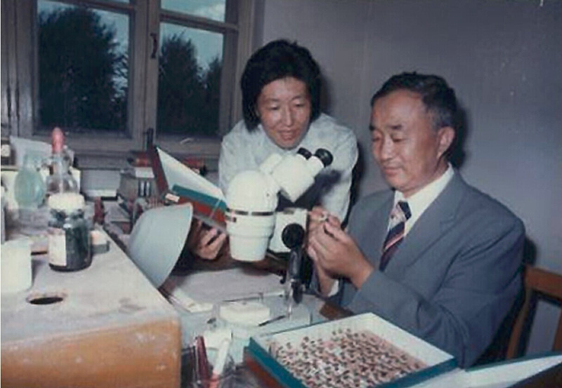 ����������ͬ�Wչʾ���x�˱�