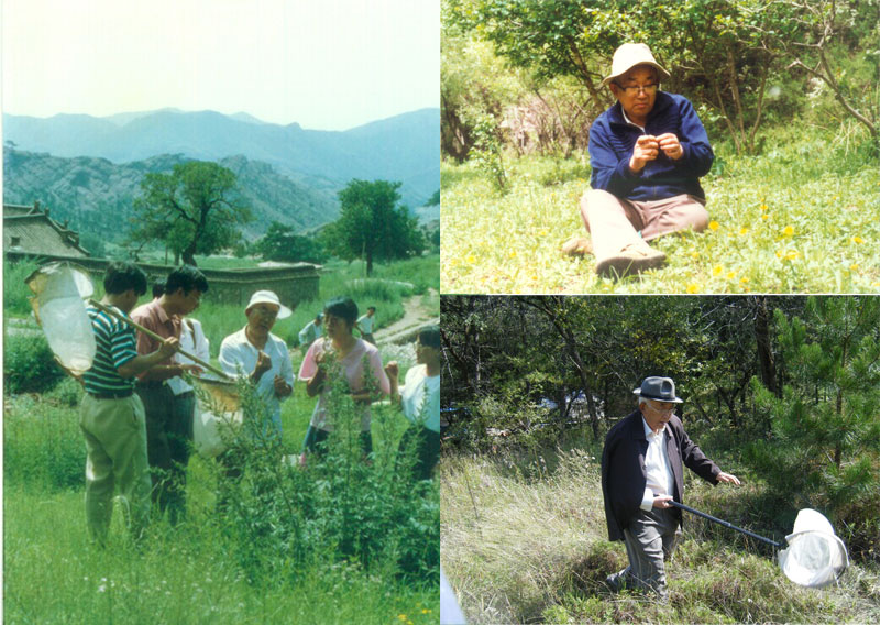 �mȻ���������@�ö����s������ͬ�W������������������ƽ�׽������̌W��֔��������һ�z��ƈ�ĺ��ώ����@�������������I(l��ng)ͬ�W����Ұ���M�Ќ���呟���(�����������I(l��ng)ͬ�W����Ұ���M�Ќ���呟���)  