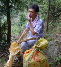 �~�d��,�������T�h����l(xi��ng)���k�̎�