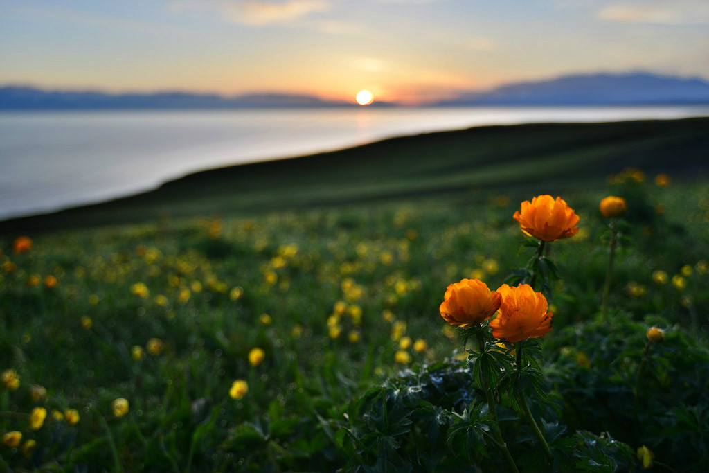 ��������l(xi��ng)�ĸ����