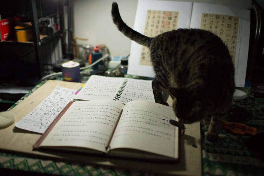 ���Ӻ�һ�㶼����ë�P�֌��x���Pӛ��