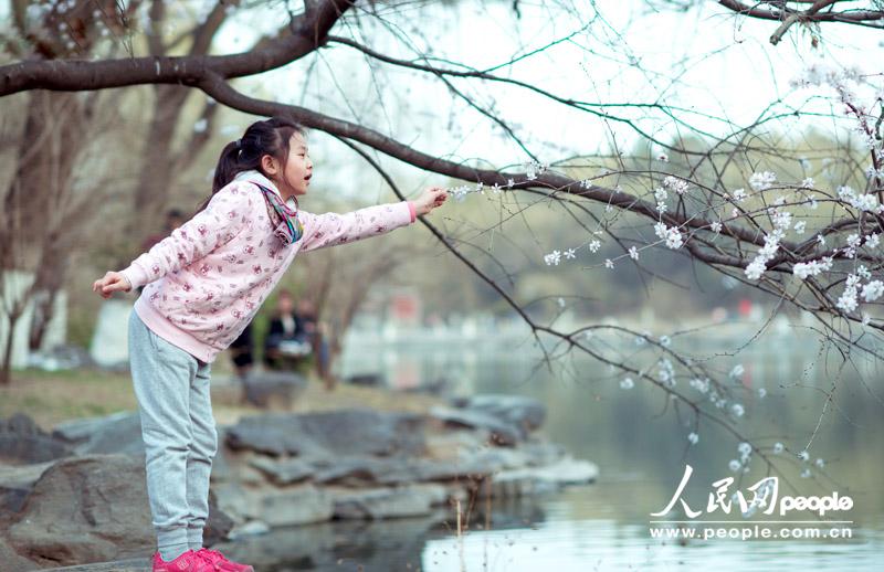 �W(w��ng)�ю�����Ӵ�ײˣ���ˮ���������ֳ�ʢ�����L(f��ng)ʮ��������� ���Y���zӰ��