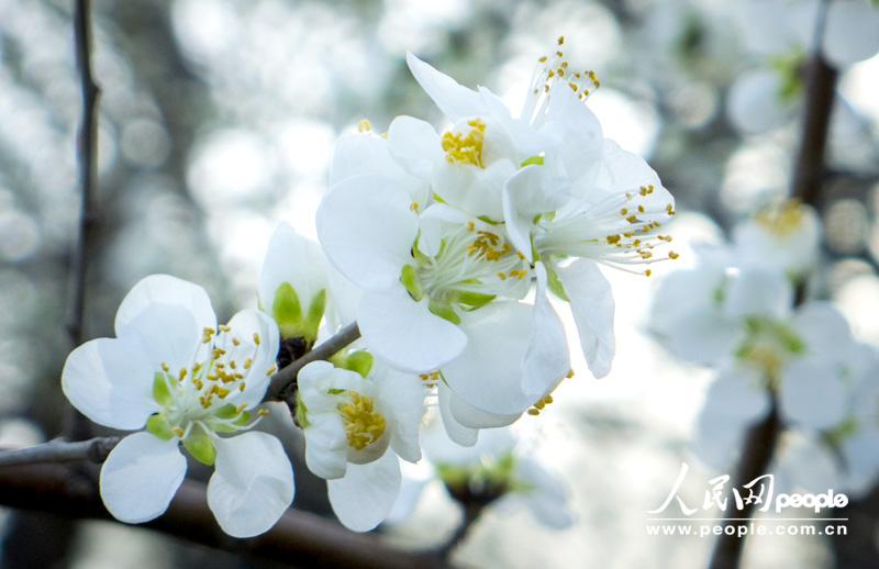 �W(w��ng)��΢Цǰ�У������Z(y��),����s�ܴ��Ѱٻ��������Z(y��),���s������������ ���S����zӰ��