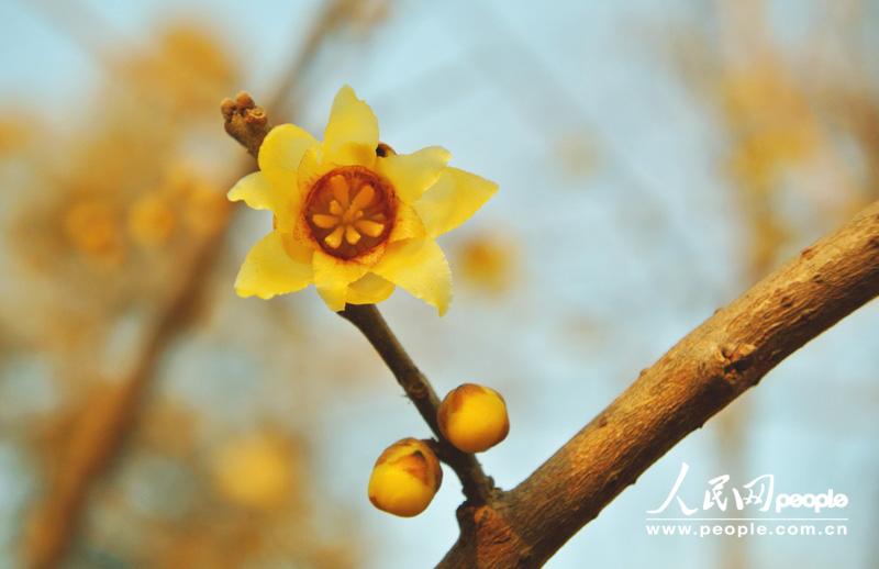 �W(w��ng)�Ѳ��ڶ�����Ҫ�غ͵����M�ǂ���ҹ��׌��������Ϧ��������ڽ��S�ĸ۞����ֿ����ֿ��ǹ����������� ���w���ȔzӰ��