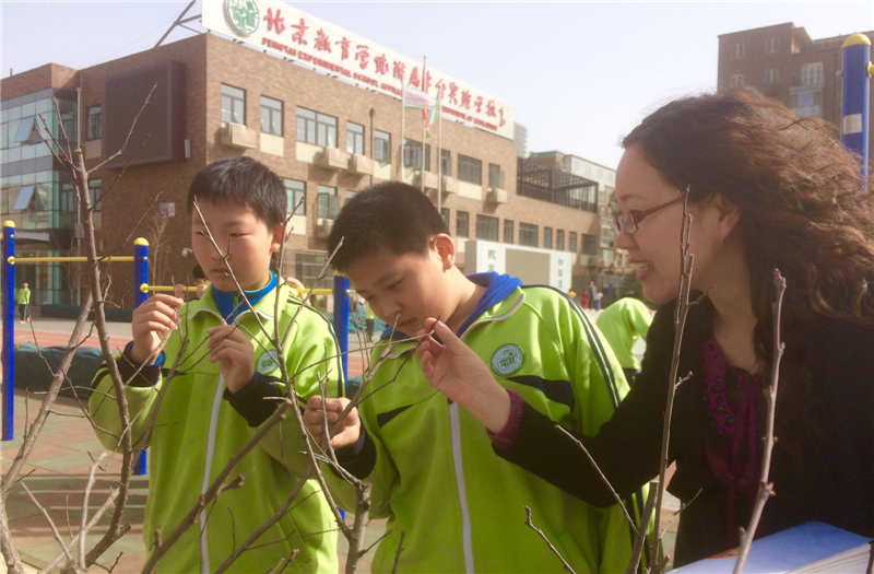 2015��W(xu��)�����^�촺�족���(d��ng)