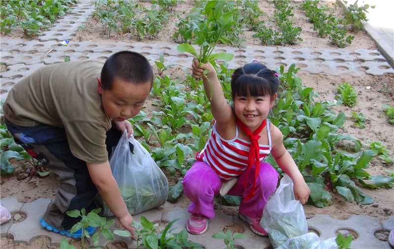 2013��5�W(xu��)����С�՜Y���Nֲ�@�g��