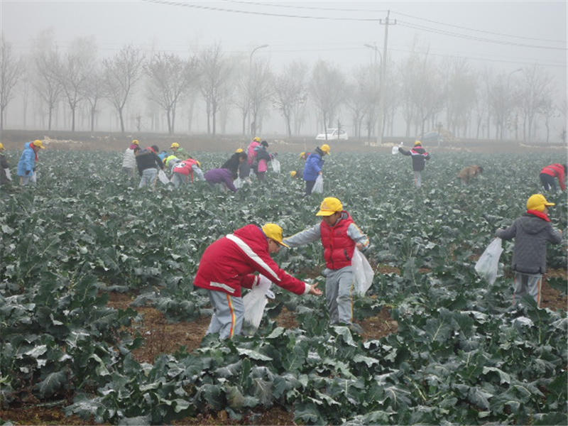 2012��11��16�����|������С�W(xu��)�R����У�n���ժ���`���