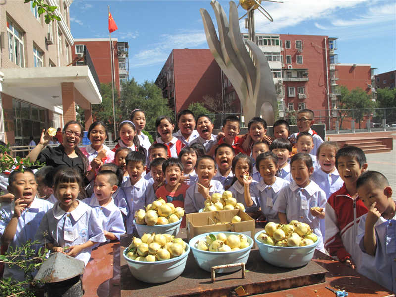 �����S�_(t��i)�S�w�r(sh��)��С�W(xu��)���(d��ng)չ