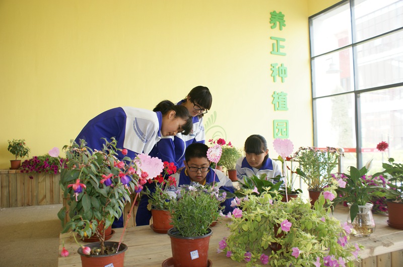 �h(hu��n)���Ļ�