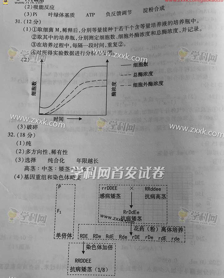 2015���㽭ʡ�߿����ƾC��ԇ�����𰸣���4��