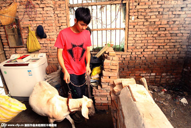 ���˱���ɽ��͵��ɽ�����һ��˯������ 