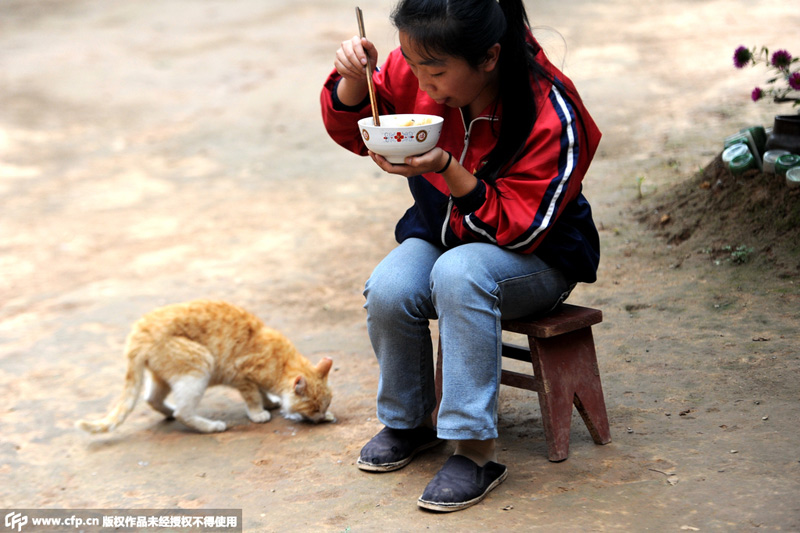 ���D���Hĸ�H���̳��������ѩ���ܳ����һ��У����������õ��·���ƽ������·������H�����т��͵������ѽ�(j��ng)һ��]���I�^һ�����·����� 