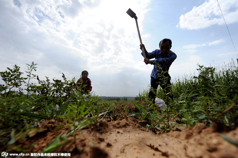 ��ٻ؁�֮�����Âzÿ������؝����ȥ������r(n��ng)�ȥ������ɽ����ˎ����ץס�Լ��ڼ����ÿһ��鸸ĸ�p�pؓ(f��)��(d��n)�� 