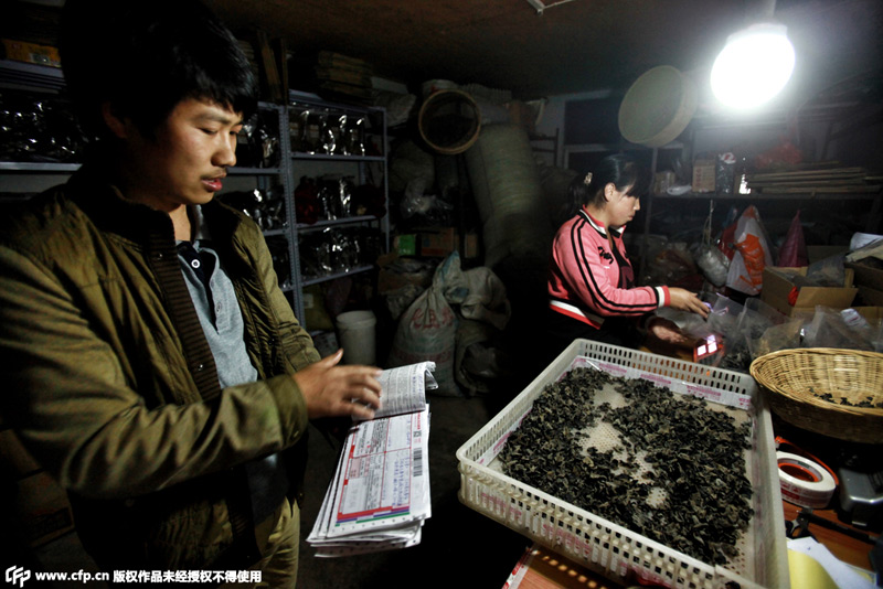 �賿����Ρ����ϼ��D�Նνo�I����؛ 