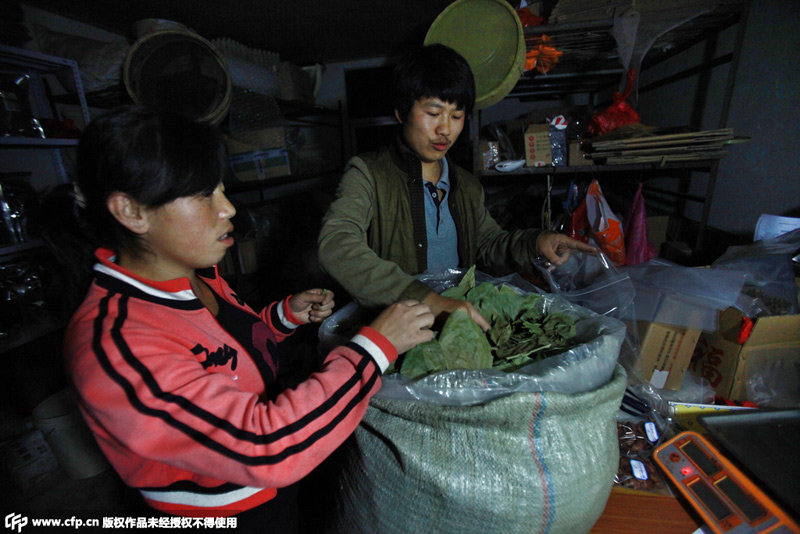 ɽ��������~�ھW(w��ng)��Ҳ��׃���X 