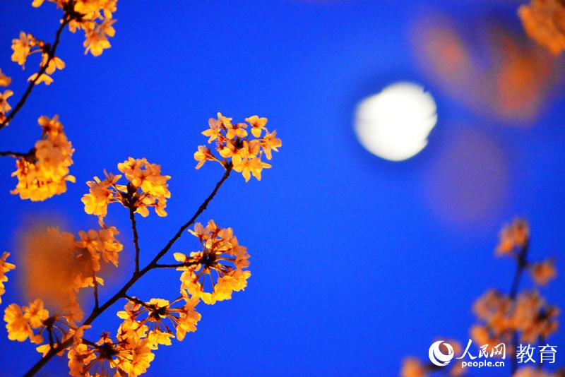 ���ҹ�� �zӰ ��l(f��)��