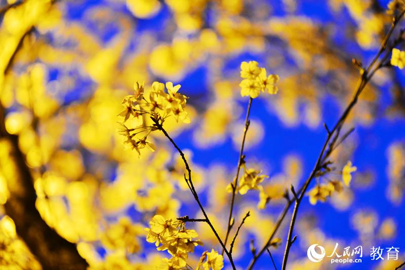 ���ҹ�� �zӰ ��l(f��)��