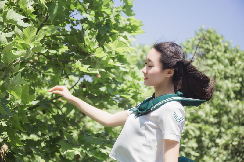 �|�ϴ�W(xu��) ������z