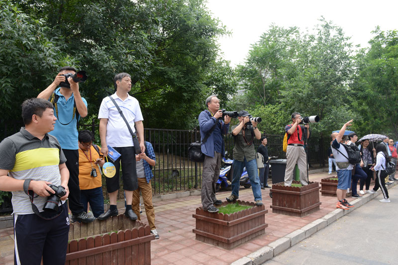 �����V���T�ЌW(xu��)���c(di��n)���ֳ��L�����ڵ�ӛ�ߺͼ��L�������� �z