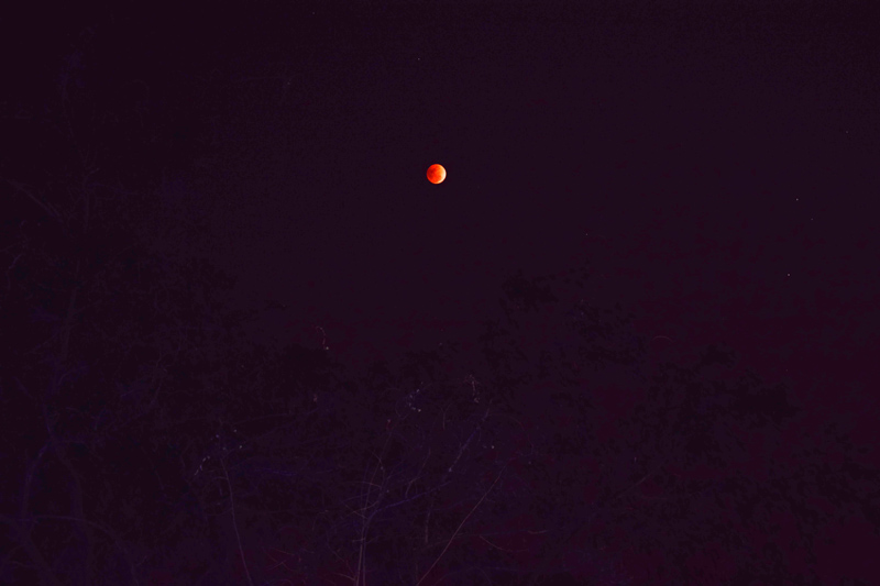 �DƬ�f�������B������W(xu��) ����ƽ�z