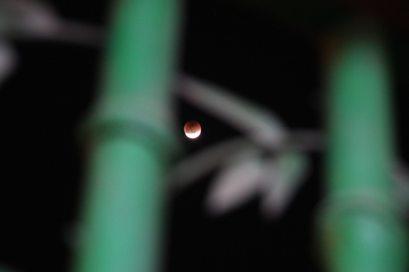 �DƬ�f������������W(xu��)Ժ �ѩ���z