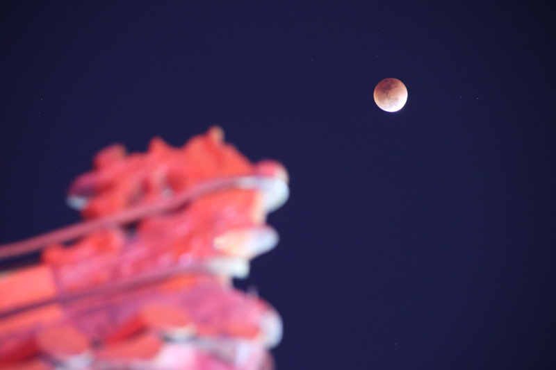 �DƬ�f������������W(xu��)Ժ �ѩ���z