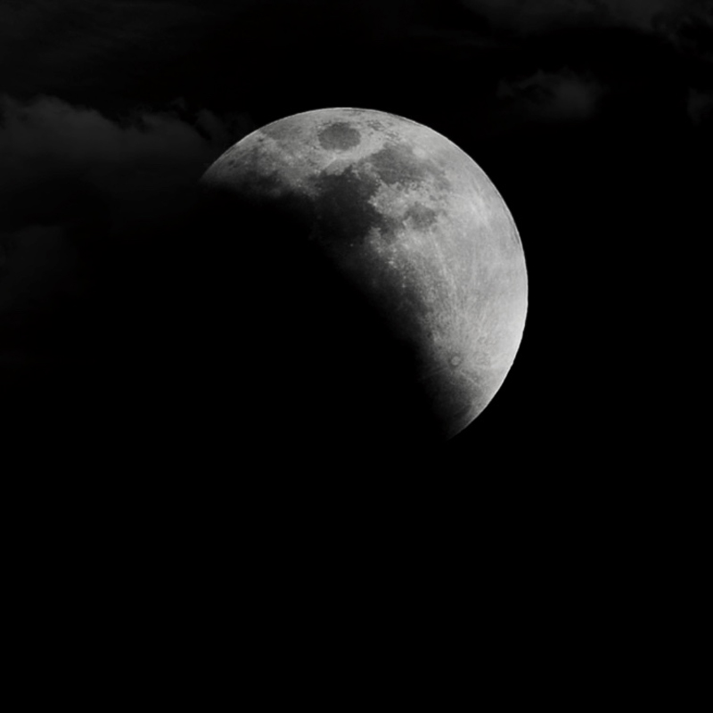 �DƬ�f���������W(xu��)Ժ ������z