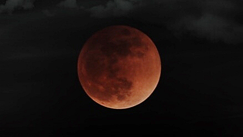 �DƬ�f���������W(xu��)Ժ ������z