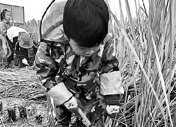 �׃���ˮ���w�ʳ���n