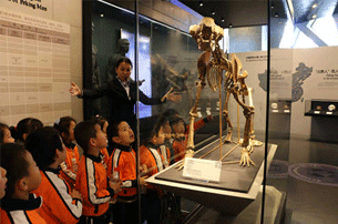 �L�����z�E ֪���l(xi��ng)�vʷ