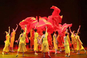 �����W(xu��)�����赸ˇ�g(sh��)���_(d��)�҇�(gu��)���