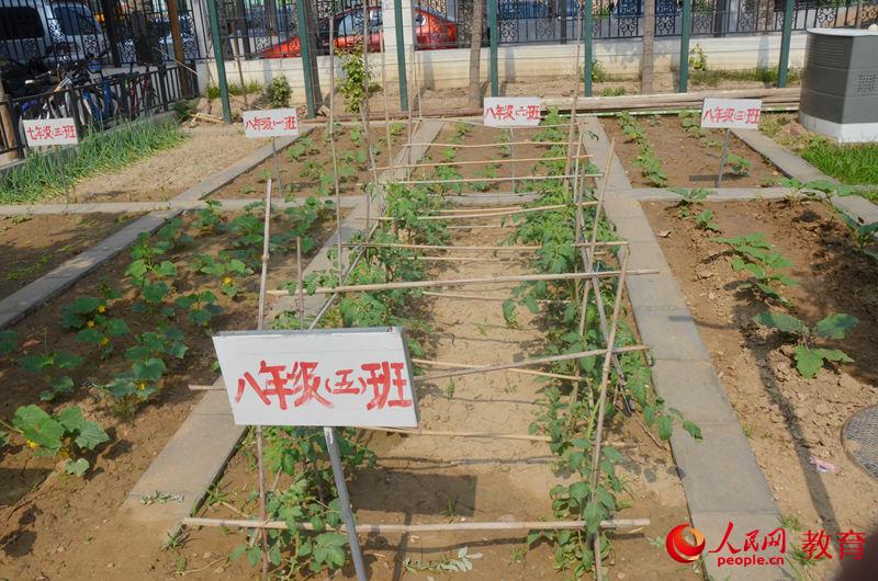 �����еڰ�ʮ�ЌW���ܺӷ�У��ɫ�ڄ��n�� ������/�z