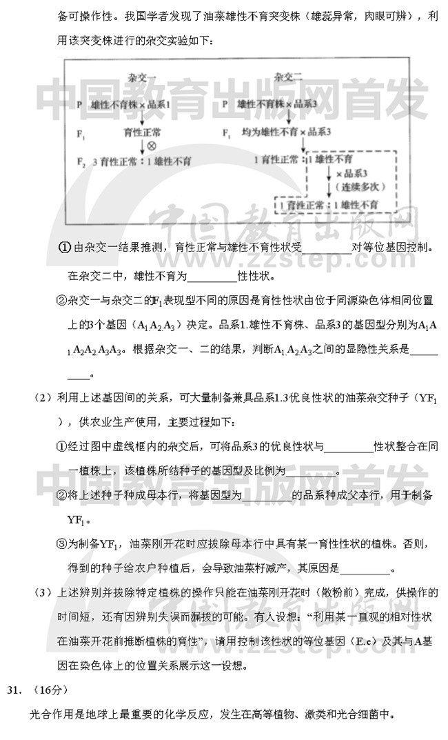 2019��߿����������ƾC��ԇ�}��18��