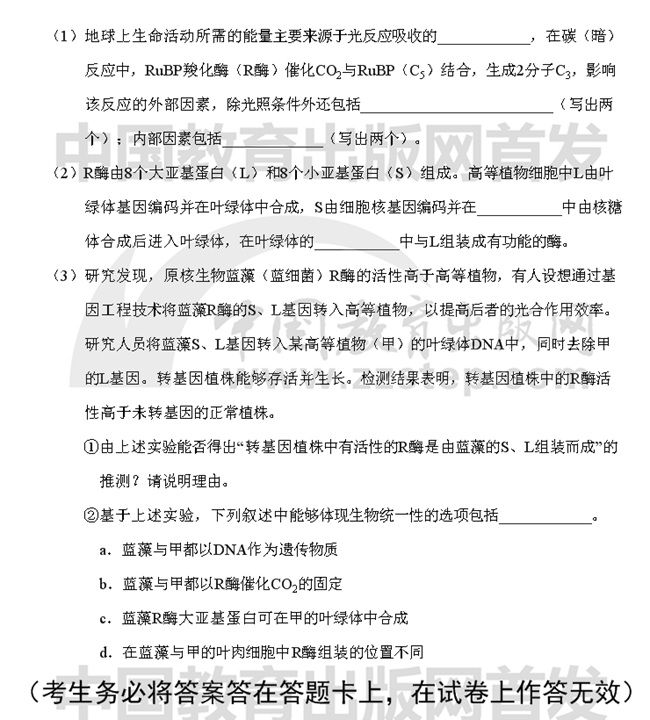 2019��߿����������ƾC��ԇ�}��19��