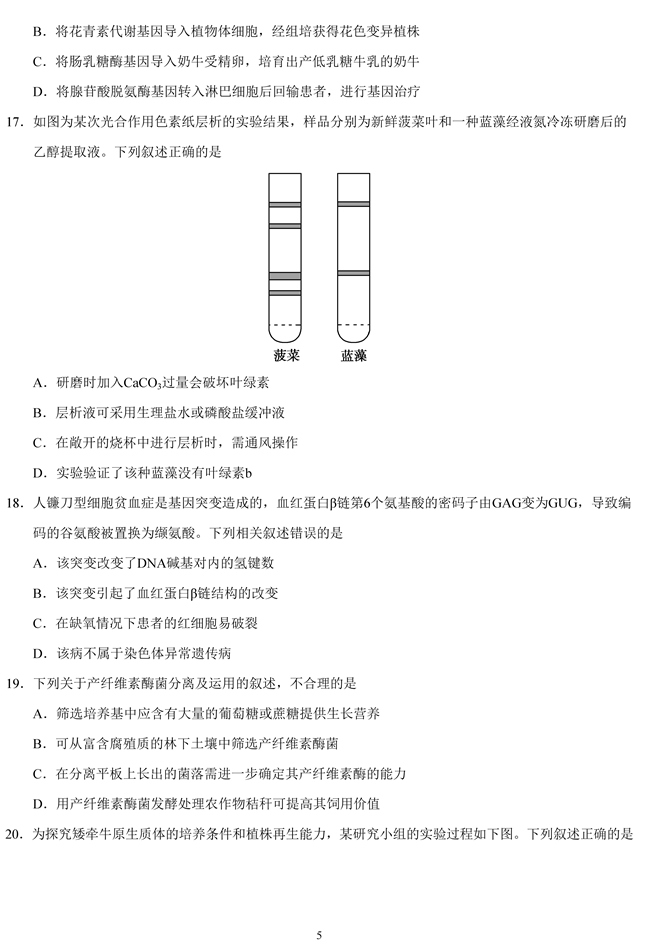 2019��߿����Kʡ����ԇ�}��5��