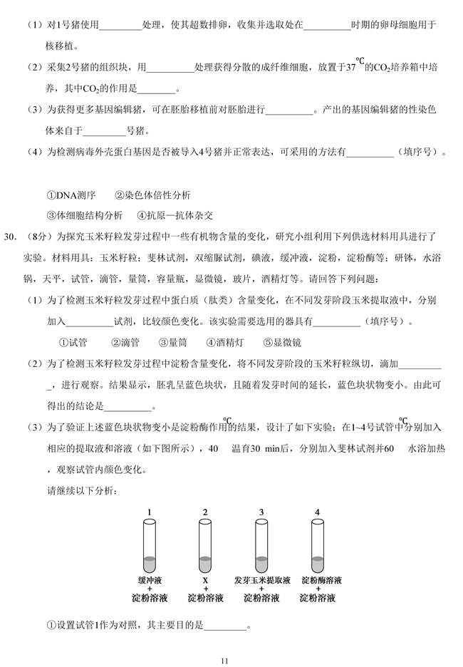 2019��߿����Kʡ����ԇ�}��11��