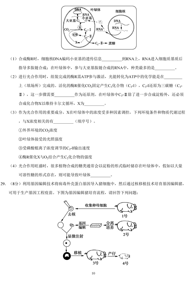 2019��߿����Kʡ����ԇ�}��10��