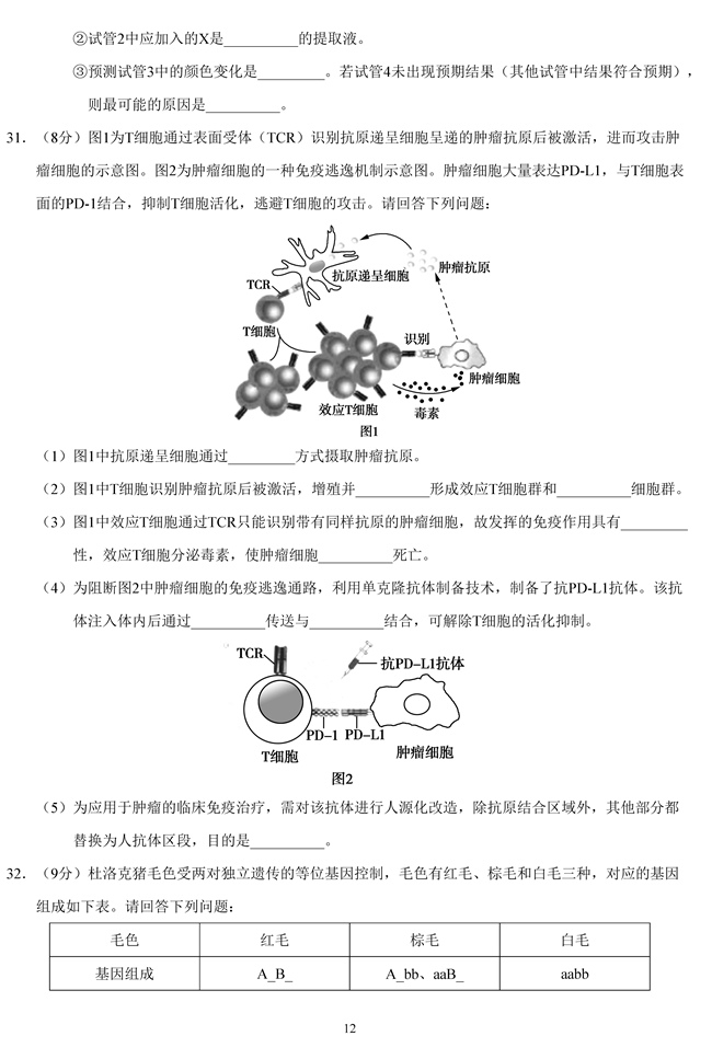 2019��߿����Kʡ����ԇ�}��12��