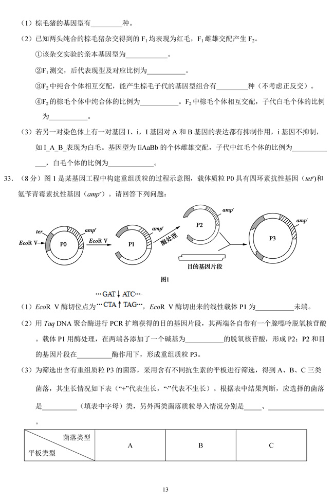 2019��߿����Kʡ����ԇ�}��13��