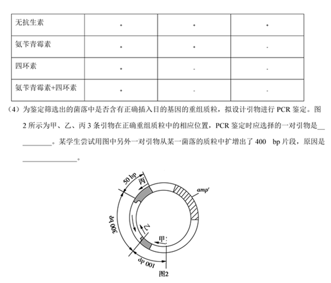 2019��߿����Kʡ����ԇ�}��14��