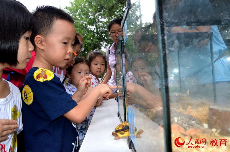 �D�麢�ӂ��۾���(hu��)����^��֩�� ������/�z