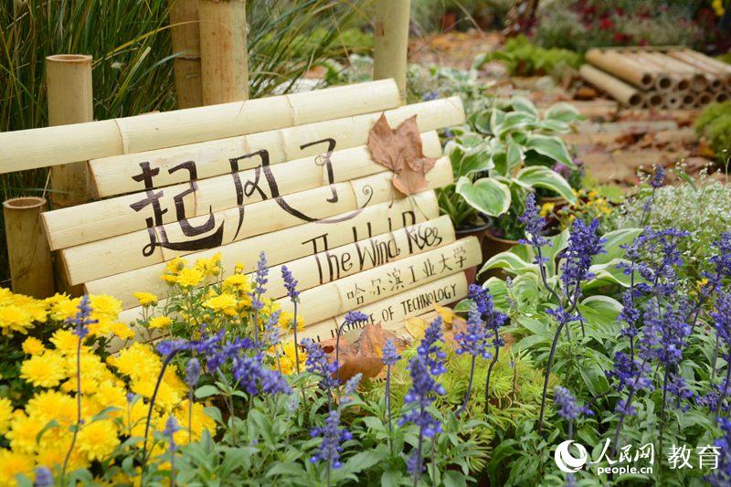 �����I���I(y��)��W(xu��)��Ʒ �����L(f��ng)�ˡ������/�D��