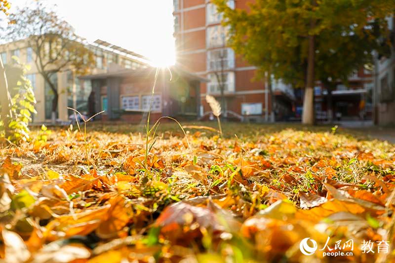 北京印刷學(xué)院 秋陽和煦 （祝薇/攝）